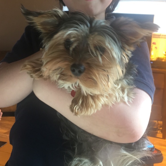 Welcome - Picture 3 of 8